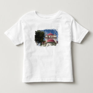 Greek Orthodox Monastery Toddler T-Shirt