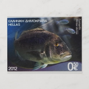 Greek postage stamp Common dentex Postcard