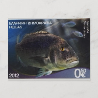 Greek postage stamp Common dentex Postcard