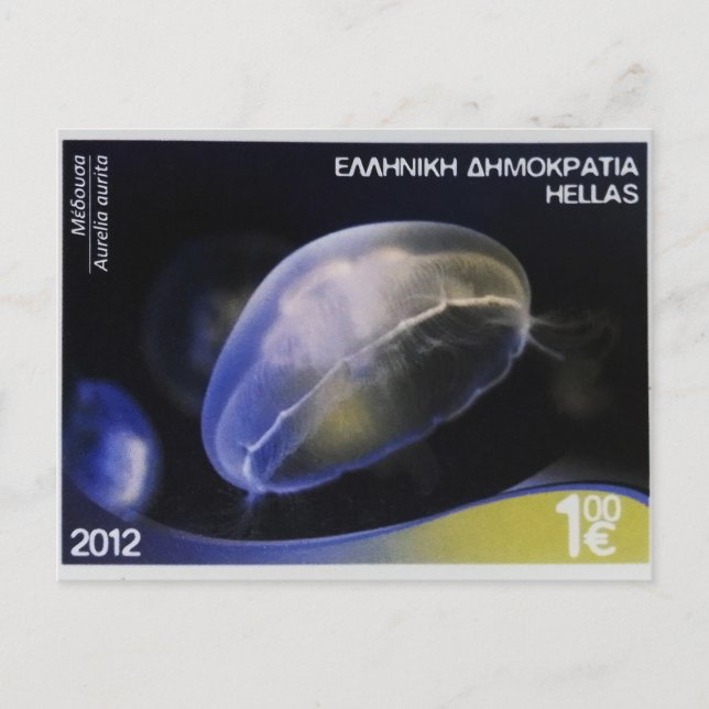 Greek postage stamp  Eared  Aurelia     Postcard (Front)