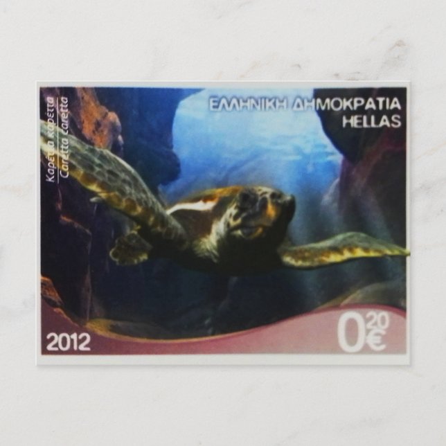 Greek postage stamp Loggerhead Turtle  Postcard (Front)
