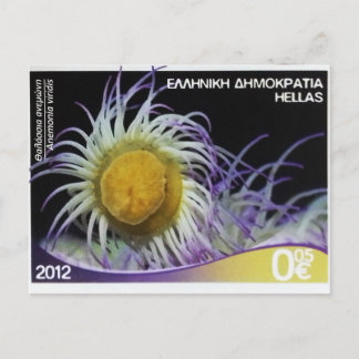 Greek postage stamp Snakelocks anemone Postcard