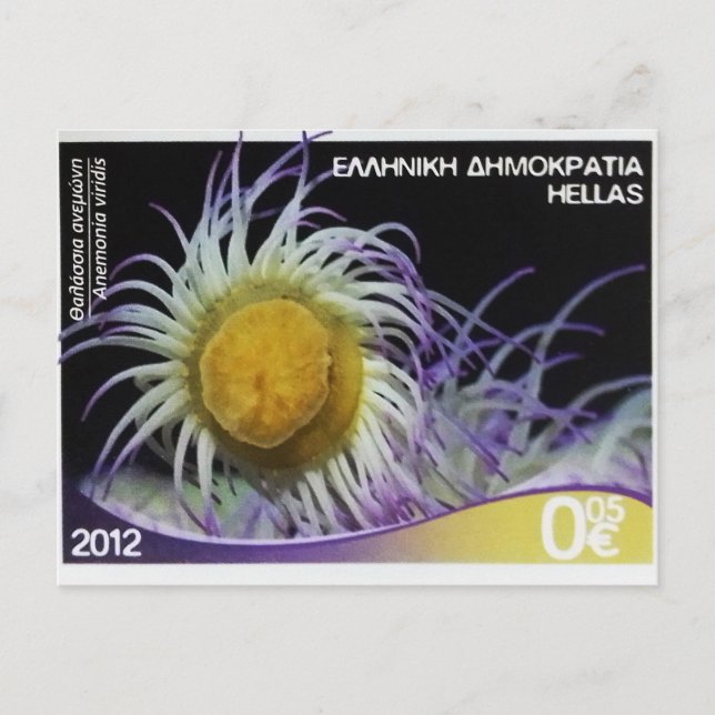 Greek postage stamp Snakelocks anemone Postcard (Front)