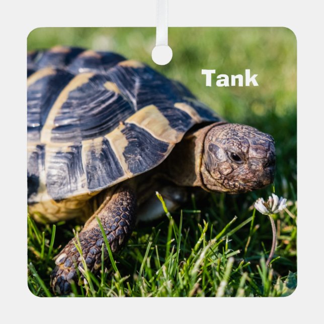 Greek Tortoise in the grass Metal Tree Decoration (Front)