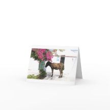 GreekIslandHouse.com Donkey Mascot Opa!