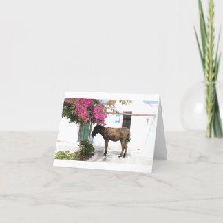 GreekIslandHouse.com Donkey Mascot Opa! Card