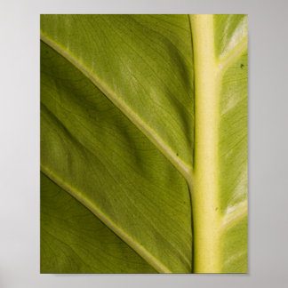 Green 01 poster