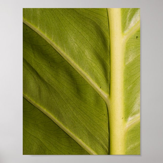 Green 01 poster (Front)