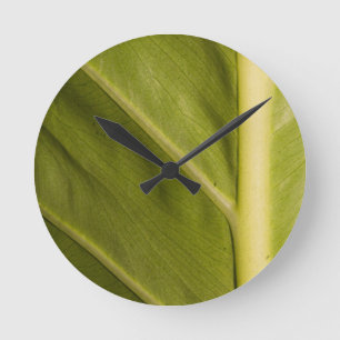 Green 01 round clock