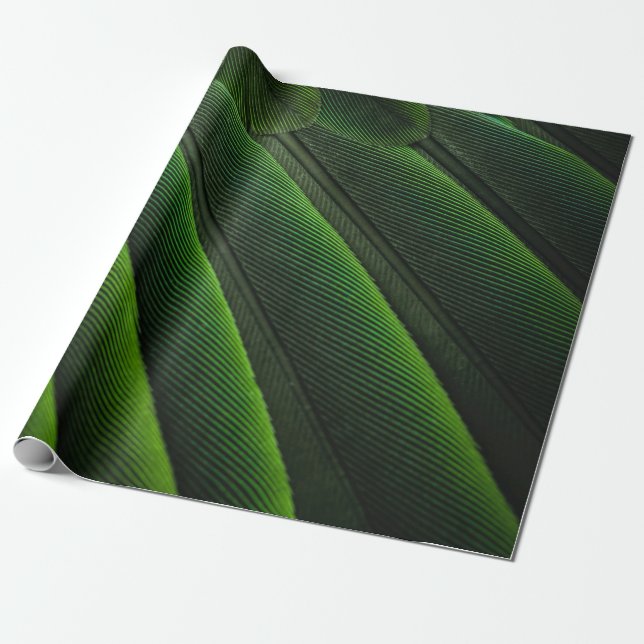 Green 3D wallpaper Wrapping Paper (Unrolled)