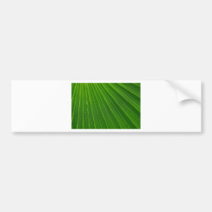 Green Abstract Background Bumper Sticker