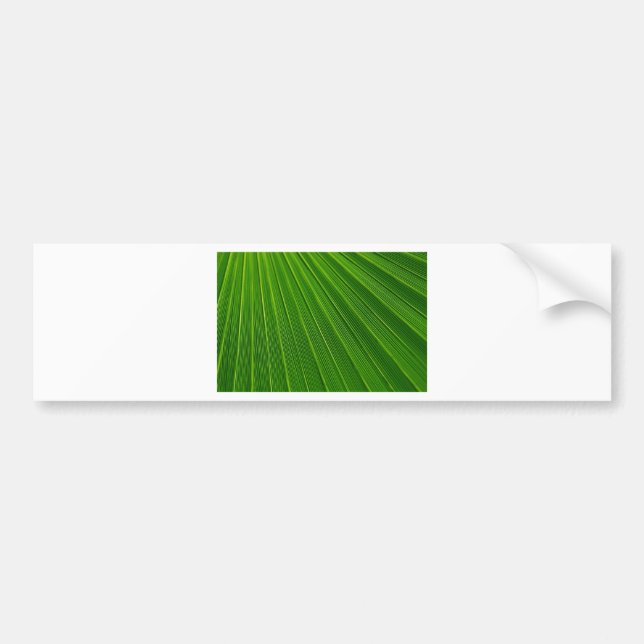 Green Abstract Background Bumper Sticker (Front)