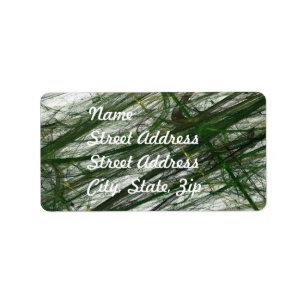 Green Abstract Fractal Address Sticker
