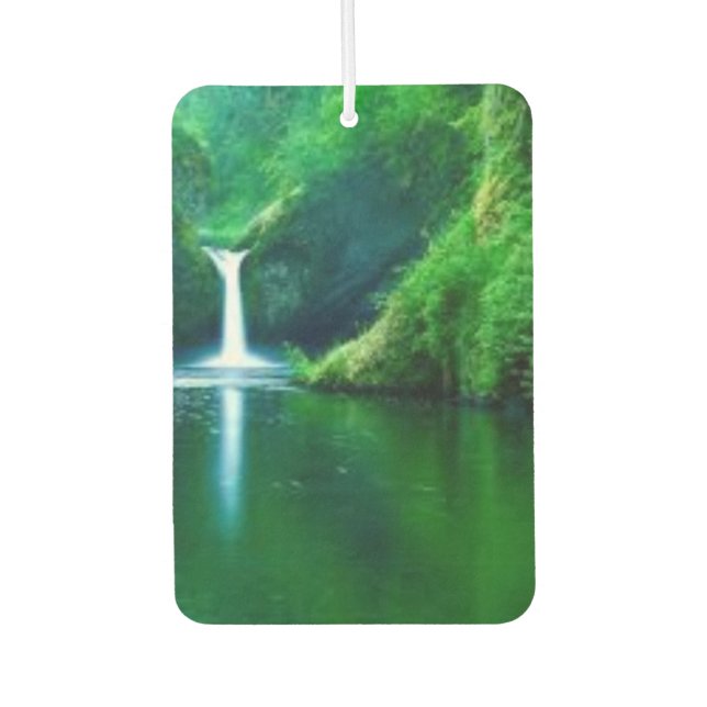 Green Abstract Moss Texture iPhone Case Car Air Freshener (Front)