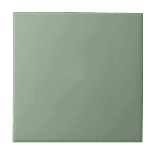 Green Agate Square Kitchen and Bathroom Ceramic Tile (Front)