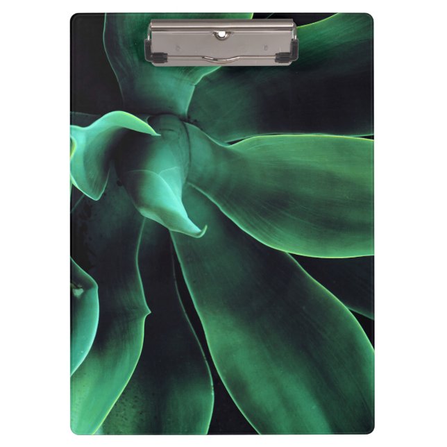 Green Agave Attenuata Clipboard (Front)