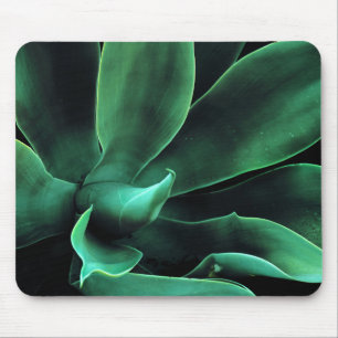Green Agave Attenuata Mouse Pad
