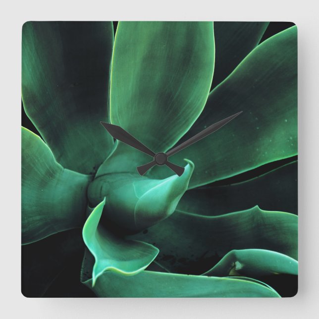 Green Agave Attenuata Square Wall Clock (Front)