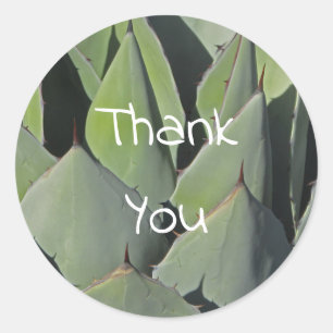 Green Agave Leaves Botanical Photo Southwest Classic Round Sticker