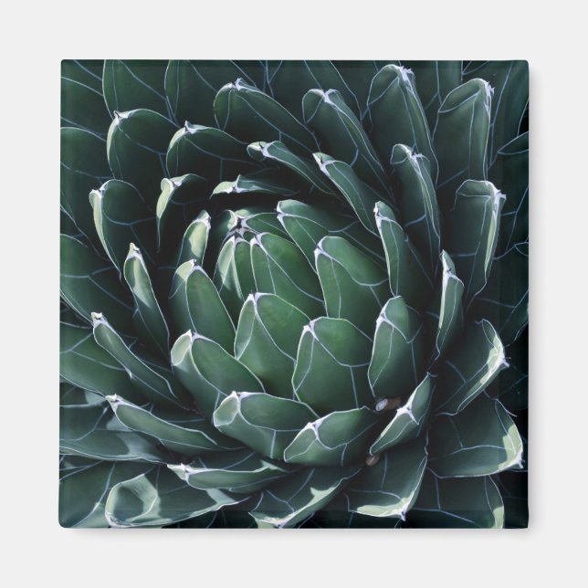 Green Agave Magnet (Front)