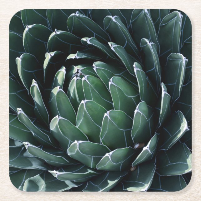 Green Agave Square Paper Coaster (Front)