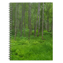 Green Alaska Summer Forest Adventure Notebook