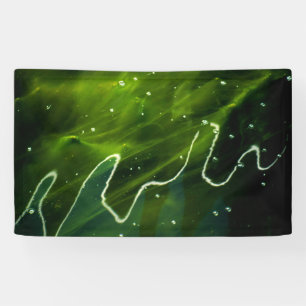 Green Algae and Water bnrcna Banner