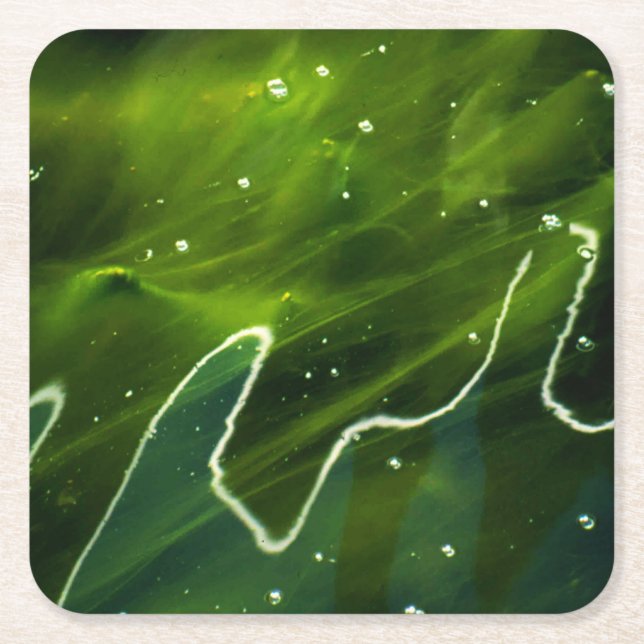 Green Algae and Water coastercnm Square Paper Coaster (Front)