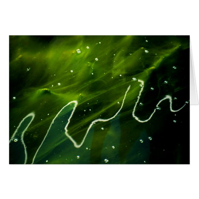 Green Algae and Water gccnm (Front Horizontal)