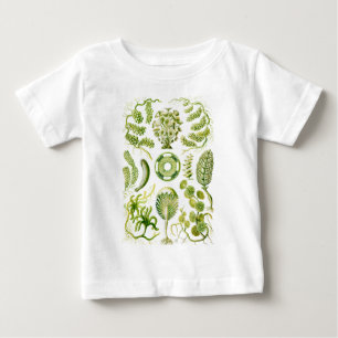 Green Algae Baby T-Shirt