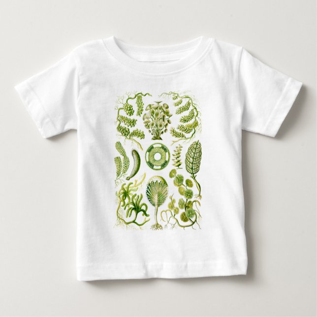 Green Algae Baby T-Shirt (Front)