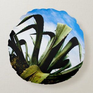 Green Aloe Plant with Bright Blue Sky Round Cushion