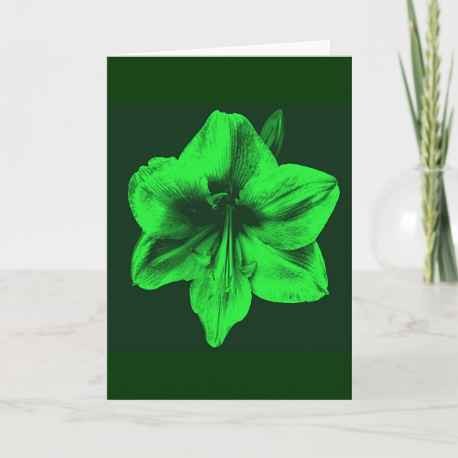 Green Amaryllis Card (Front)