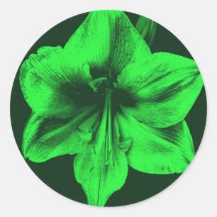 Green Amaryllis Classic Round Sticker