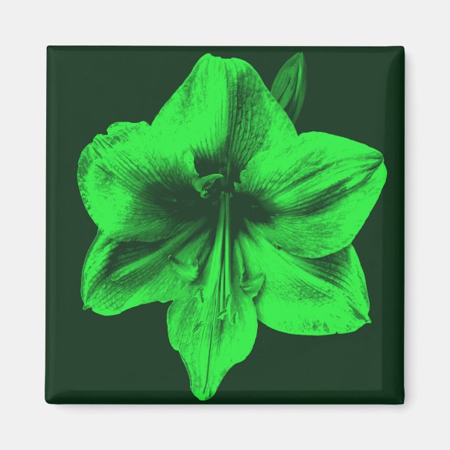 Green Amaryllis Magnet (Front)
