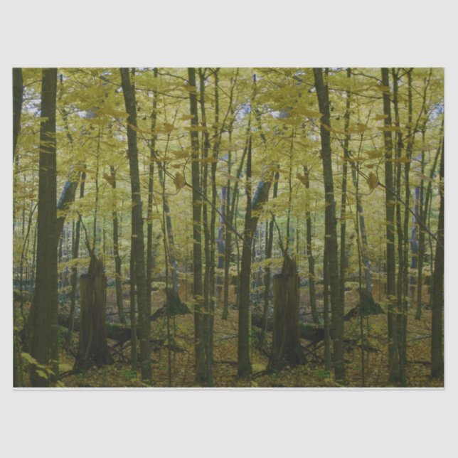 Green and black trees tissue paper (Front)