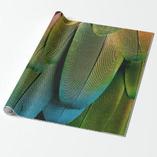 Green and blue feathers wrapping paper