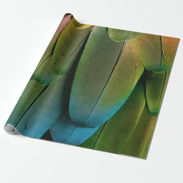 Green and blue feathers wrapping paper (Unrolled)