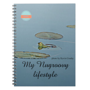 Green and blue frog transitioning to the third age notebook