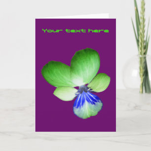 Green and Blue Pansy Custom Greeting Card