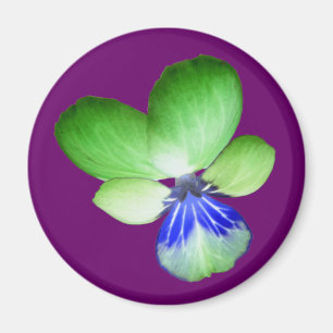Green and Blue Pansy Magnet