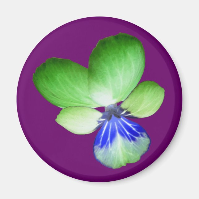 Green and Blue Pansy Magnet (Front)