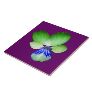 Green and Blue Pansy Tile