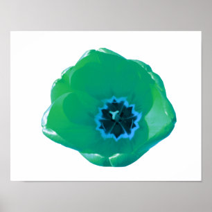 Green and Blue Tulip Poster