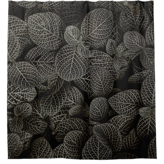 GREEN AND BROWN PINE CONES SHOWER CURTAIN (Front)