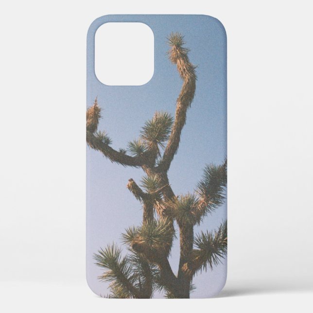 GREEN AND BROWN TREE UNDER BLUE SKY Case-Mate iPhone CASE (Back)