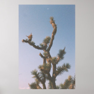 GREEN AND BROWN TREE UNDER BLUE SKY POSTER