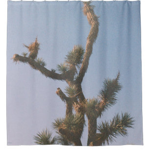 GREEN AND BROWN TREE UNDER BLUE SKY SHOWER CURTAIN