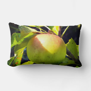 Green and pink apple lumbar cushion