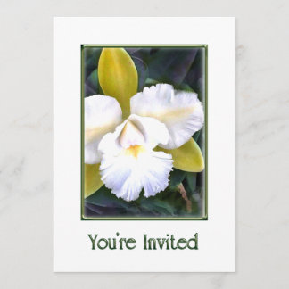 Green and White Cattleya Orchids Invitation